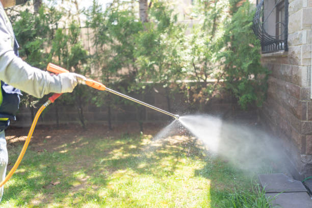 Best Pest Prevention Services  in Buckhannon, WV